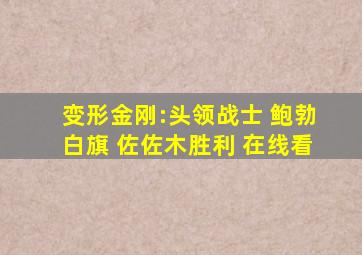 变形金刚:头领战士 鲍勃白旗 佐佐木胜利 在线看